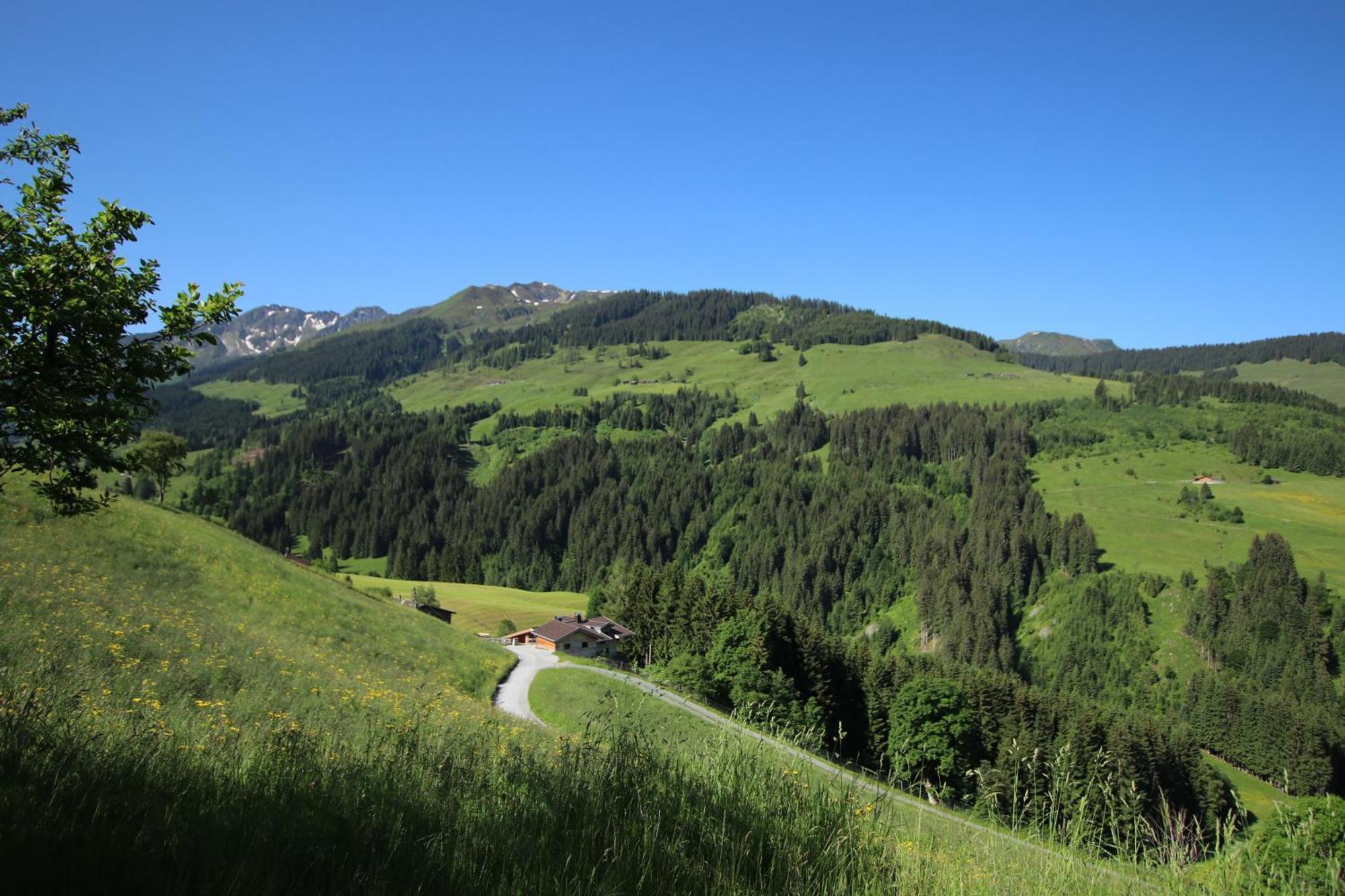 Ferienwohnung Bergpanorama Wild600 Schwarzenau  Buitenkant foto